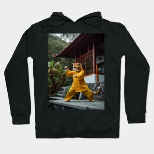 Ninja Cat Hoodie